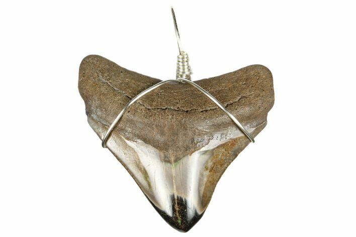 Fossil Megalodon Tooth Necklace #173827